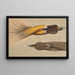 Two Paradise Birds, a male and a female - Christoph Amberger — framed artwork on a wall