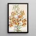 Reproduction of the painting Plant Selectae Painting - Christoph Jakob Trew