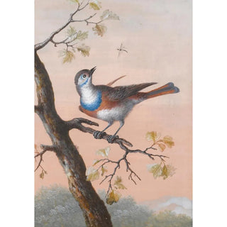 Reproduction of the painting Un Gorgebleue - Christoph Ludwig Agricola