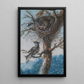 a Sizerin flammé and a Hupped Tit - Christoph Ludwig Agricola — framed artwork on a wall