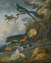 A parrot and a goldfinch at the foot of a tree - Christophe Huet — artwork view