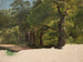 Forest landscape sketch - Chrystian Breslauer — artwork view