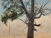 Tree of Solitude - Chrystian Breslauer — artwork view
