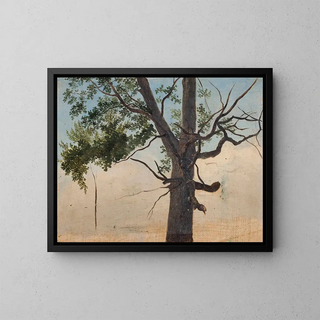Tree of Solitude - Chrystian Breslauer — framed artwork on a wall