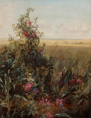 Wildflowers in a Vast Landscape - Circle of Fidelia Bridges — artwork view
