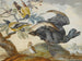 a duck and four other birds, three on a branch - Circle of Aert Schouman — artwork view