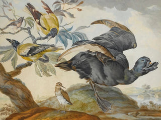 a duck and four other birds, three on a branch - Circle of Aert Schouman — artwork view