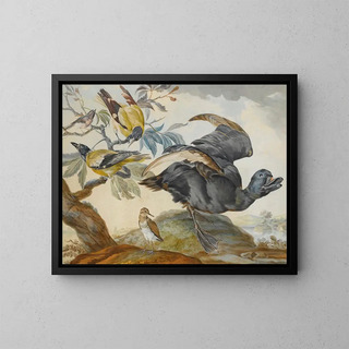 a duck and four other birds, three on a branch - Circle of Aert Schouman — framed artwork on a wall