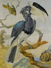 a shoebill and another bird on a branch - Circle of Aert Schouman — artwork view
