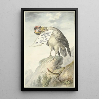Vulture painting with a sheet of paper in its beak - Circle of François Levaillant — framed artwork on a wall