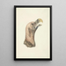 Head of a Hooded Vulture Otogyps auricularis Daud - Circle of François Levaillant — framed artwork on a wall