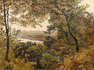 View of the unregulated Danube from Bisamberg - Circle of Friedrich Gauermann — artwork view