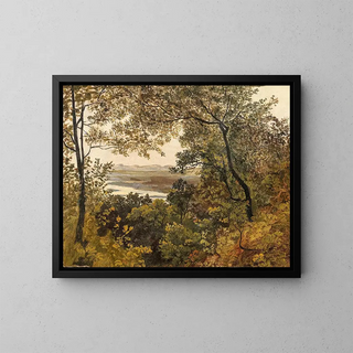 View of the unregulated Danube from Bisamberg - Circle of Friedrich Gauermann — framed artwork on a wall