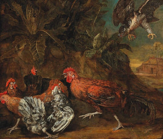 Bird attacked by a bird of prey - Circle of Melchior de Hondecoeter — artwork view