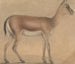 a gazelle in profile moving to the right - Circle of Michelino da Besozzo — artwork view