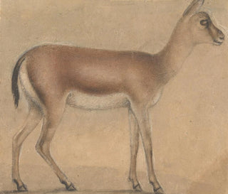 a gazelle in profile moving to the right - Circle of Michelino da Besozzo — artwork view