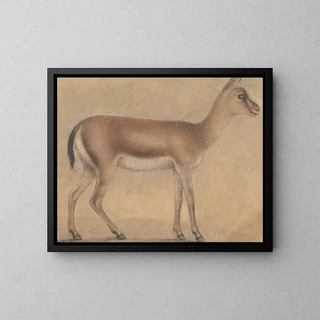 a gazelle in profile moving to the right - Circle of Michelino da Besozzo — framed artwork on a wall
