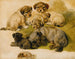 Study of a den and puppies - Circle of Sir Edwin Henry Landseer — artwork view