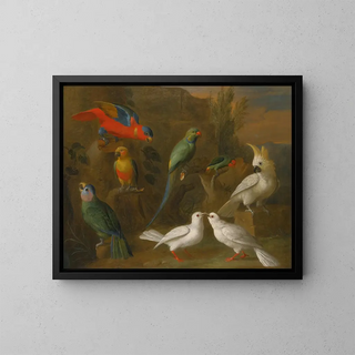 A landscape with exotic birds including parrots, budgerigars, doves, and cockatoos - Circle of Tobias Stranover — framed artwork on a wall