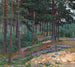 Clairière forestière - Nikolai Bogdanov-Belsky — artwork view