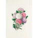 Asters - Clarissa Munger Badger — artwork view
