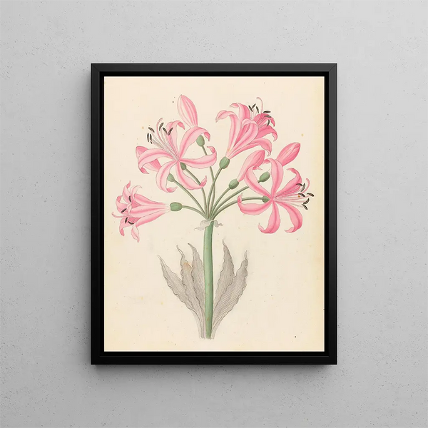 Couplets boophones d'Amaryllis - Clemenz Heinrich Wehdemann — framed artwork on a wall