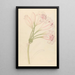 Amarillis Crinum lineare - Clemenz Heinrich Wehdemann — framed artwork on a wall
