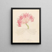 Brunswigia Ammocharis coranica - Clemenz Heinrich Wehdemann — framed artwork on a wall