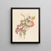 Cisfus Nov Sp Cyphostemma quinatum - Clemenz Heinrich Wehdemann — framed artwork on a wall