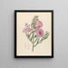 Convolvulus Ipomoea oenotheroides - Clemenz Heinrich Wehdemann — framed artwork on a wall