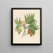 Decandria Mon Harpephyllum caffrum - Clemenz Heinrich Wehdemann — framed artwork on a wall