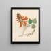 Erythrina caffra - Clemenz Heinrich Wehdemann — framed artwork on a wall