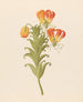 Glorieux, glorieux, fier - Clemenz Heinrich Wehdemann — artwork view