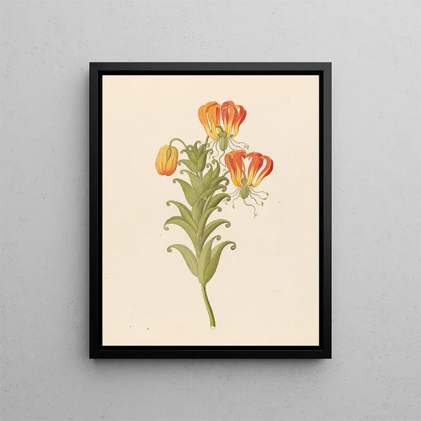 Glorieux, glorieux, fier - Clemenz Heinrich Wehdemann — framed artwork on a wall