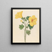 Hibiscus Hibiscus calyphyllus - Clemenz Heinrich Wehdemann — framed artwork on a wall