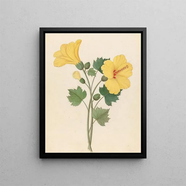 Hibiscus Hibiscus calyphyllus - Clemenz Heinrich Wehdemann — framed artwork on a wall