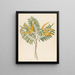Mimosa Acacia caffra - Clemenz Heinrich Wehdemann — framed artwork on a wall