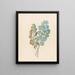 Pentande mono Ehretia rigida - Clemenz Heinrich Wehdemann — framed artwork on a wall