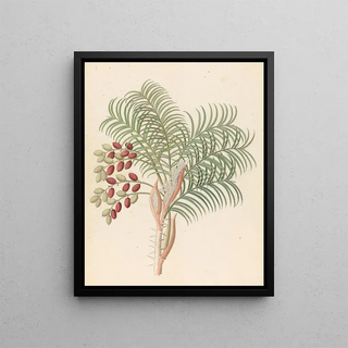 Phoenix Phoenix tilting - Clemenz Heinrich Wehdemann — framed artwork on a wall