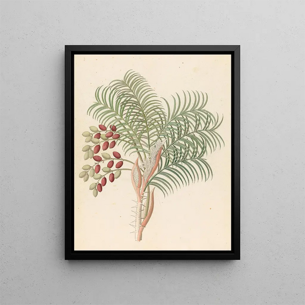 Phoenix Phoenix tilting - Clemenz Heinrich Wehdemann — framed artwork on a wall