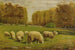 Sheep in Pasture - Clinton Loveridge — artwork view