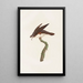 Reproduction of the painting Les pigeons Pl48 - Coenraad Jacob Temminck