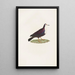 Les pigeons Pl67 - Coenraad Jacob Temminck — framed artwork on a wall