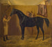 Comète noire - Fritz Thomsen — artwork view