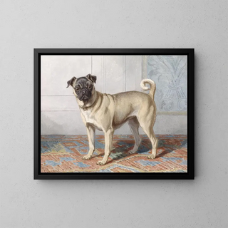 Portrait of the pug by Edwin vom Rath - Conradijn Cunaeus — framed artwork on a wall