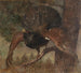 Rooster of Heather - Franz Xaver von Pausinger — artwork view