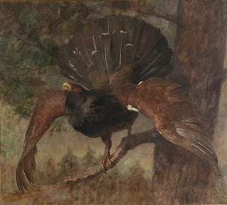 Coq de bruyère - Franz Xaver von Pausinger