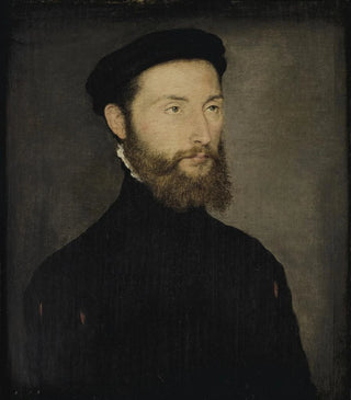 Portrait of a bearded man painting, formerly known as Charles de Cossé-Brissac - Corneille de Lyon — artwork view