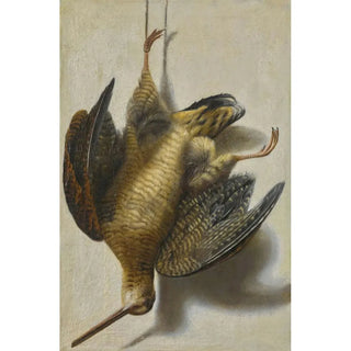 an illusion with a woodcock hanging in front of a wall - Cornelis Biltius — framed artwork on a wall