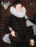 Richard Goodricke de Ribston Yorkshire - Cornelis Ketel — artwork view